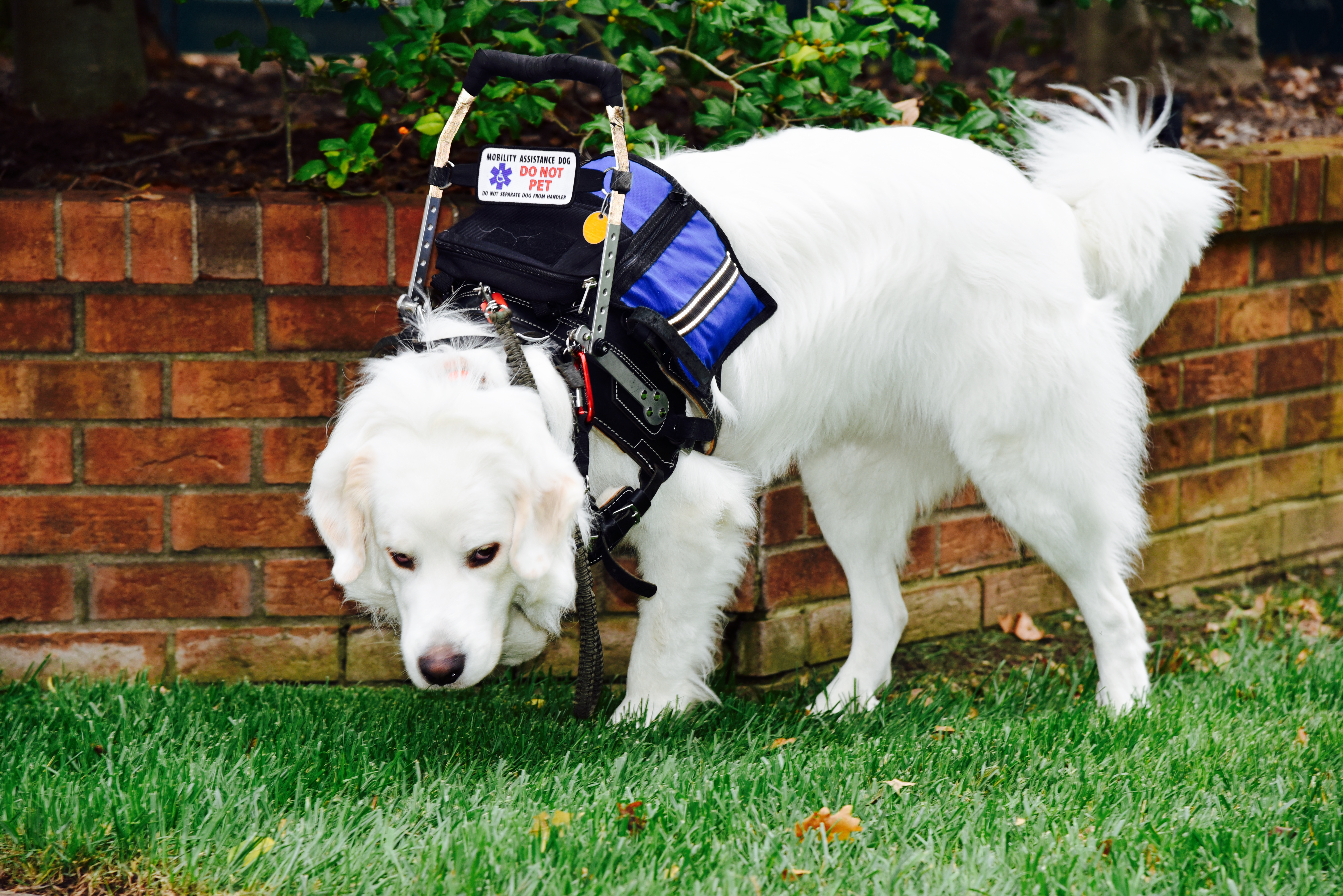 SD Gunner standing by at the ready