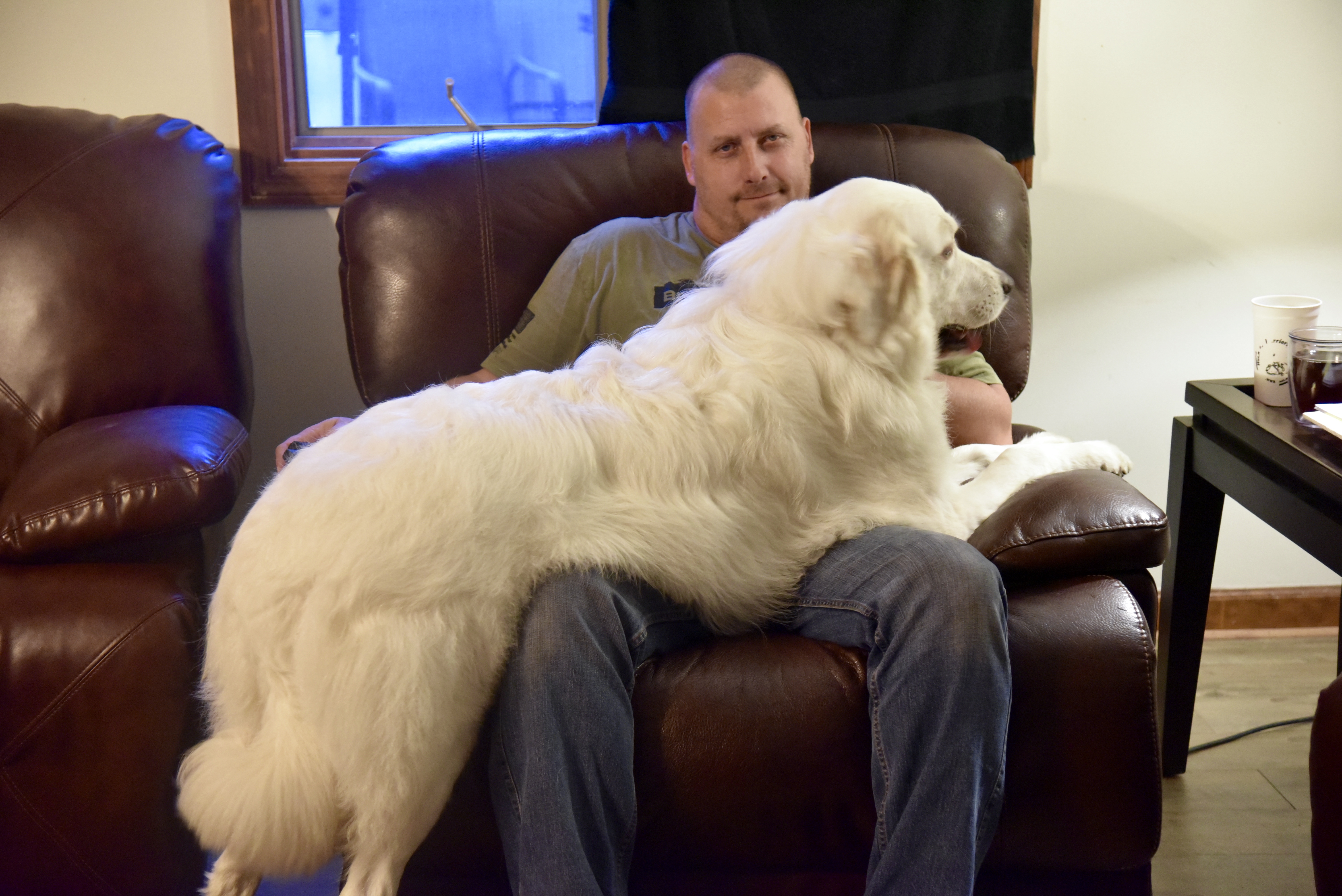 SD Gunner is at home and always ready to be there (sometimes when he's not needed)